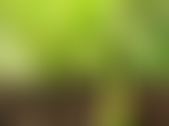 Wat is jouw ultieme water-bespaartip?