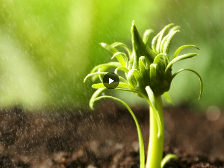 Wat is jouw ultieme water-bespaartip?