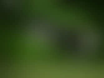 J is for January. J is for Jumping (on to/in to)