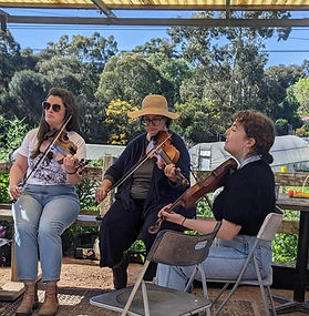 G’Old Time Stringband