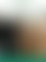 Saudi Arabia Hosts Reception and Dinner Celebrating Candidature for Re-election to The IMO