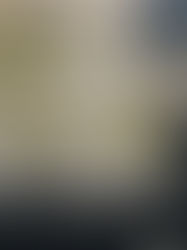 The Kingdom of Saudi Arabia is Building New Economic Zones 