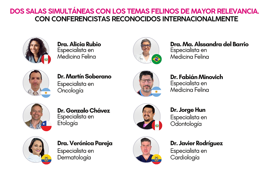Copia de volante locos (3).png