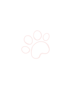 Layout rubriques good (5).png