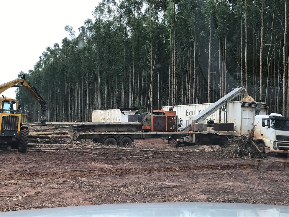 UNADJUSTEDNONRAW_thumb_2a7d