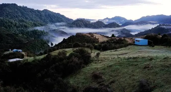 Arcadia in New Zealand at least in the dreams of anthropologists, artists and poets. 