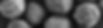 file.jpg