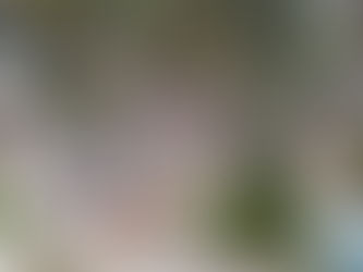 Zen & Tonic with Nikkie and Ahana