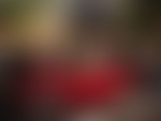 1000 Miglia Experience Florida To Debut In Coral Gables With MG Developer’s Support