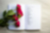 O, Miami Poetry Festival Unveils Bold Lineup for 2025 – A Month-Long Celebration of Poetry Across South Florida