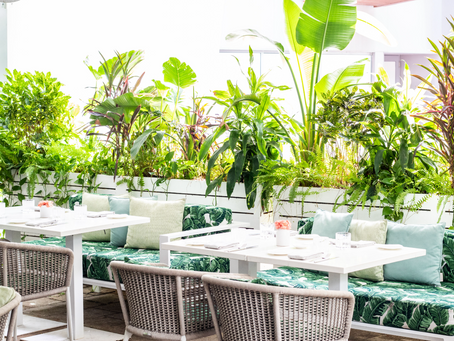 Best Outdoor Dining in South Florida: Top Al Fresco Restaurants for 2025
