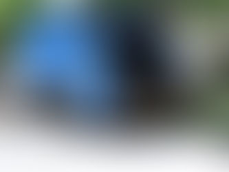 Solid Waste Services To Continue On Juneteenth Holiday