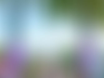 CONTEXT Art Miami Announces Exhibitors List For Its 12th Edition December 3-8, 2024