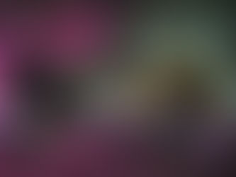 Hoffman’s Chocolates Winter Wonderland and Flamingo Gardens’ Garden of Lights Unite to Spark Magic for the 2025 Holiday Season