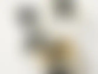 5 Eaux De Parfum, Les Essences De Diptyque Collection Launch