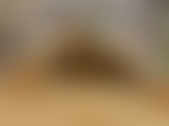 'Just for Me': A Sensory-Friendly Experience at Frost Science