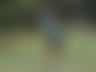 Dimarco Goes Low to Capture 78th Florida Open Championship