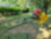 Fairchild Tropical Botanic Garden Presents "Bugging Out: A Bugs World But Bigger!"