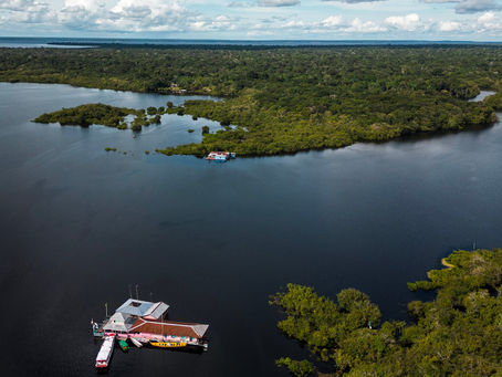 Moët Hennessy Louis Vuitton (LVMH) Takes New Steps to Strengthen Biodiversity Protection at Cop16