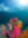 Canon USA Partners with Breakthrough Miami to Launch Youth Marine Science and Art Program