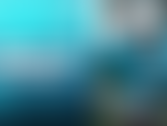 Practice 8: 2025 Miami Dolphins Training Camp Notebook