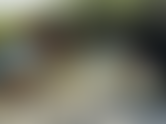 MUVE Volunteer Workday