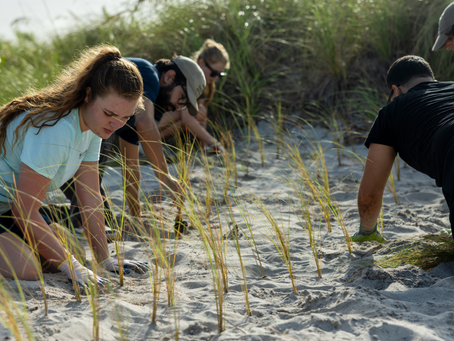 MUVE Volunteer Workday