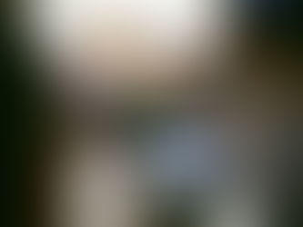 Lights, Camera, Miami: The 42nd 'Miami Film Festival' Returns April 3-13, 2025