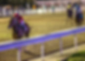 TwinSpires Live Blog for Risen Star Weekend, Race Entries, Fair Grounds Picks & More