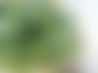 How to Make a Creamed Spinach Side Dish