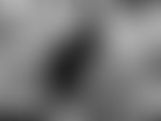 Calling All Creatives: Miami Downtown Development Authority Accepting Applications for Downtown Creative Collaborators Grant Program