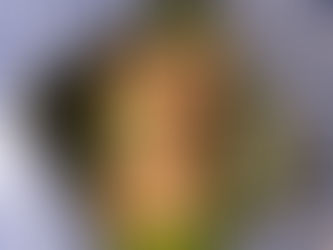 New Offerings at SLS South Beach: Kobe Beef Tasting & Half-Off Premium Wines 