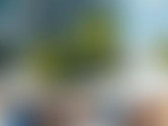 Miami Design District's Market For Makers