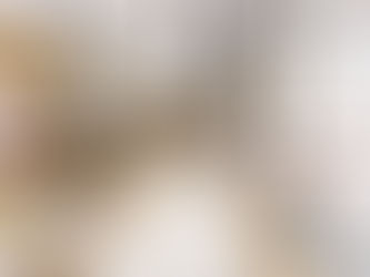 Burberry Opens New Store at Bal Harbour Shops