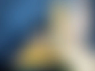 Miami Children’s Museum Announces New Seasonal Programming for July 2025