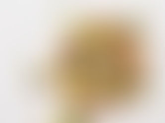 Mother's Day Brunch Offers by Sofia Design District, Amal, Level 6 Rooftop & Red Rooster Overtown