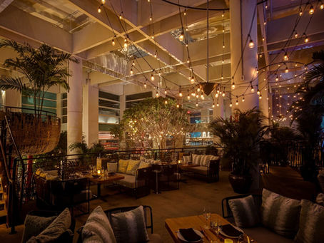 Ring in 2025 in Style: Miami’s Hottest NYE Venues & Events