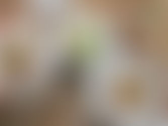 James Bond Macallan Dinner at Zucca in Coral Gables on April 25!