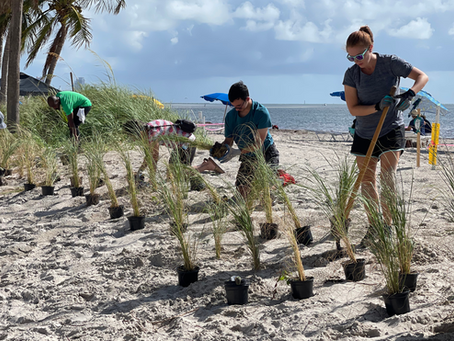 Protect Our Shores: Volunteer for Coastal Habitat Care on July 20, 2024