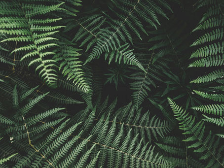 Beaux Arts Announces Theme and Date for Annual Costume Ball Supporting Lowe Art Museum