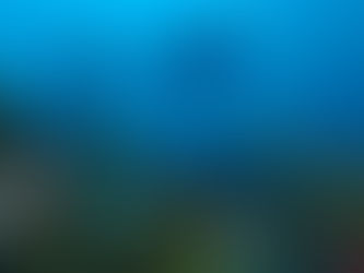 LIVE@Frost Science: Lights, Camera, Action to Save Florida’s Coral Reef