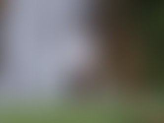 Jessy Huebner Triumphs in Thrilling Finish at Boys’ Junior Golf Championship