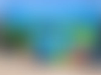 Broward & Hillsborough County Win USTA Adult League National Championships; Other Top Finishers