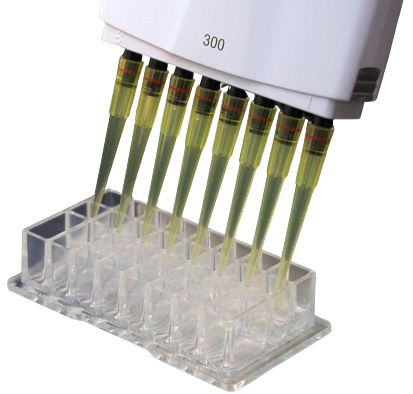 Loading a MiNano Form cartridge with an eight-channel pipette