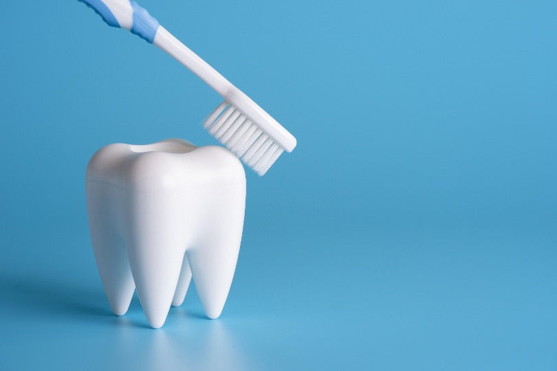 Tooth+brush.jpg