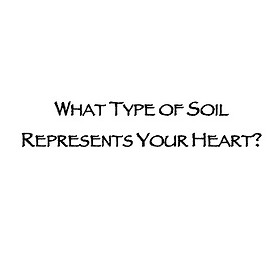 Title of Lessons on Wix.jpg