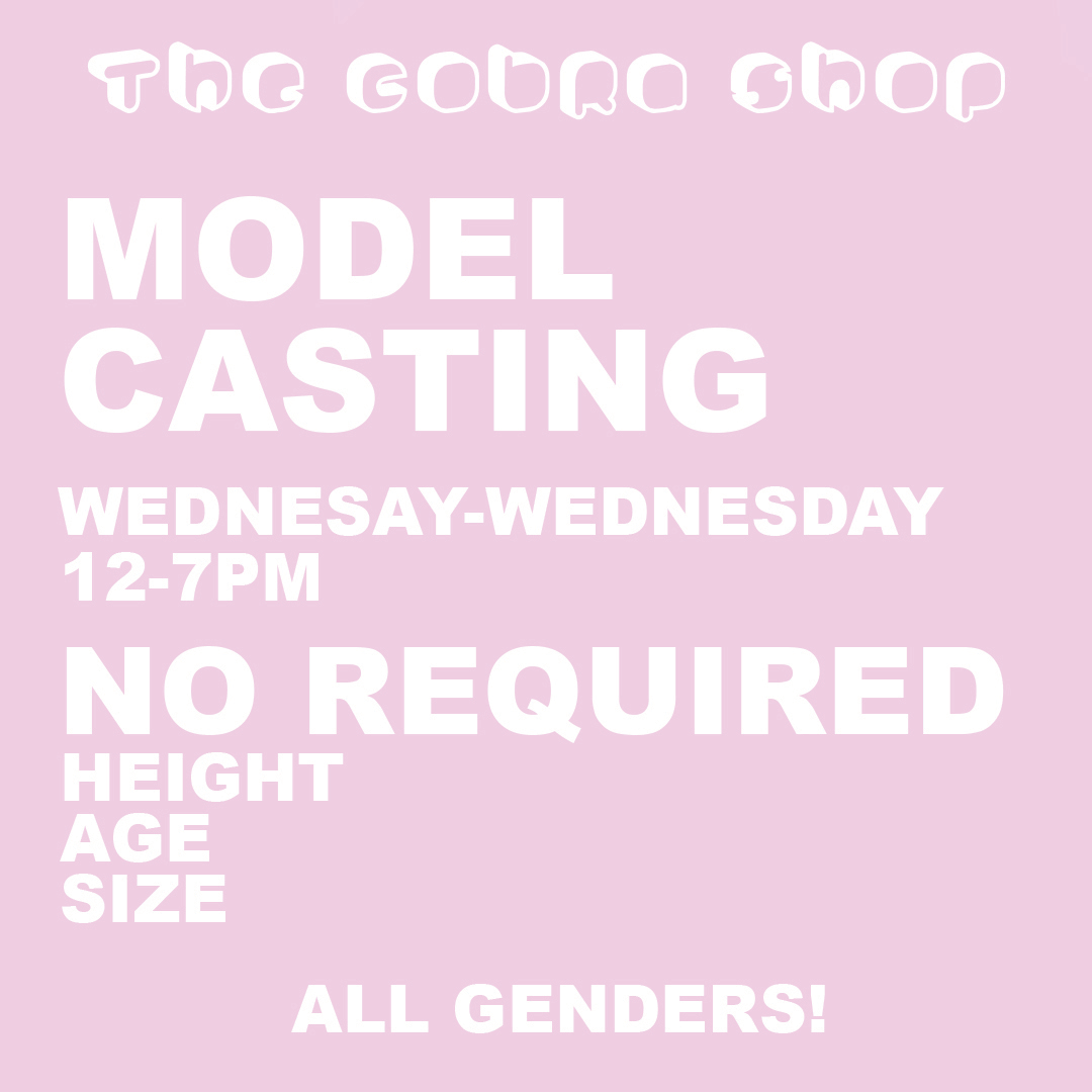 Model Casting