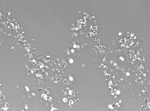 Water Drops