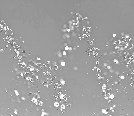 Water Drops