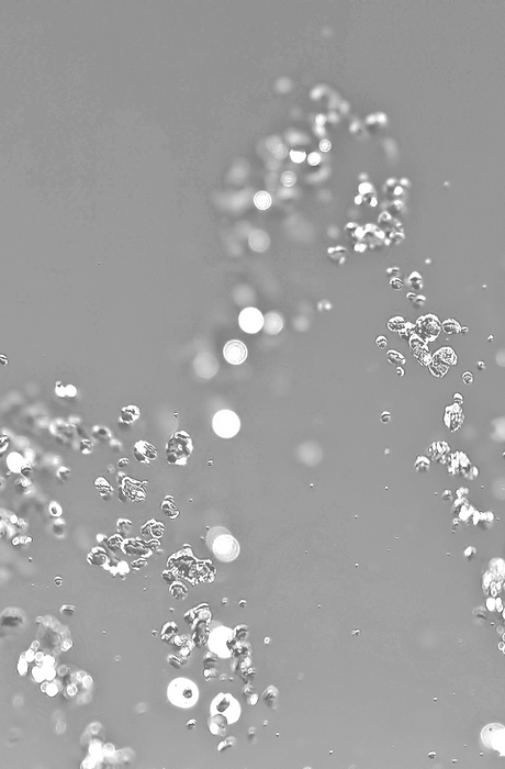 Water Drops